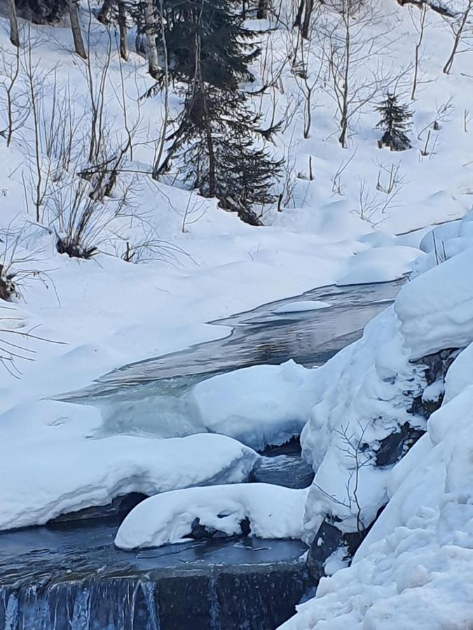Lederer Haeus'L, Ferienwohnungen Ellmau Luaran gambar